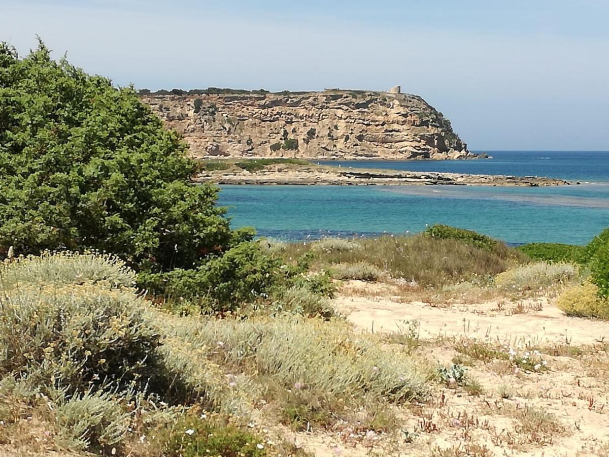 ריולה סארדו Agriturismo Il Melograno מראה חיצוני תמונה
