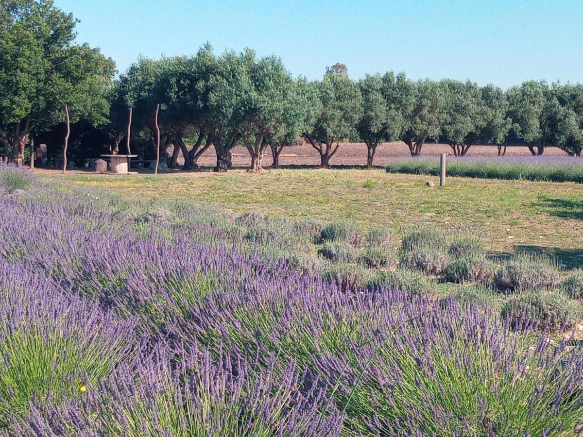 ריולה סארדו Agriturismo Il Melograno מראה חיצוני תמונה