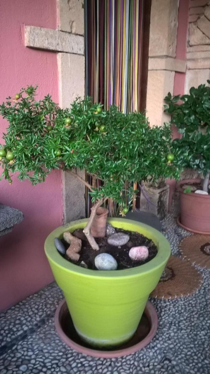 ריולה סארדו Agriturismo Il Melograno מראה חיצוני תמונה