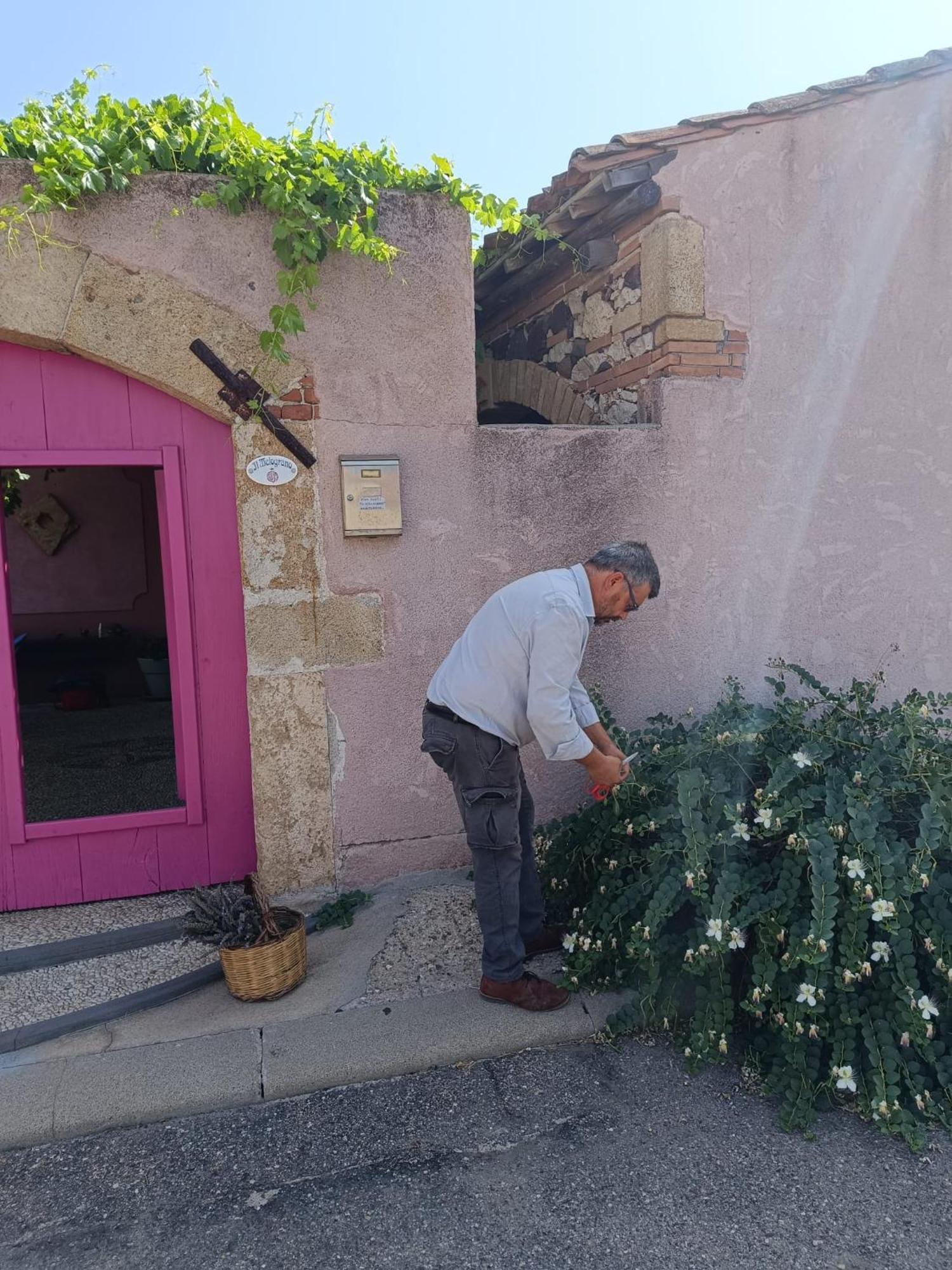 ריולה סארדו Agriturismo Il Melograno מראה חיצוני תמונה