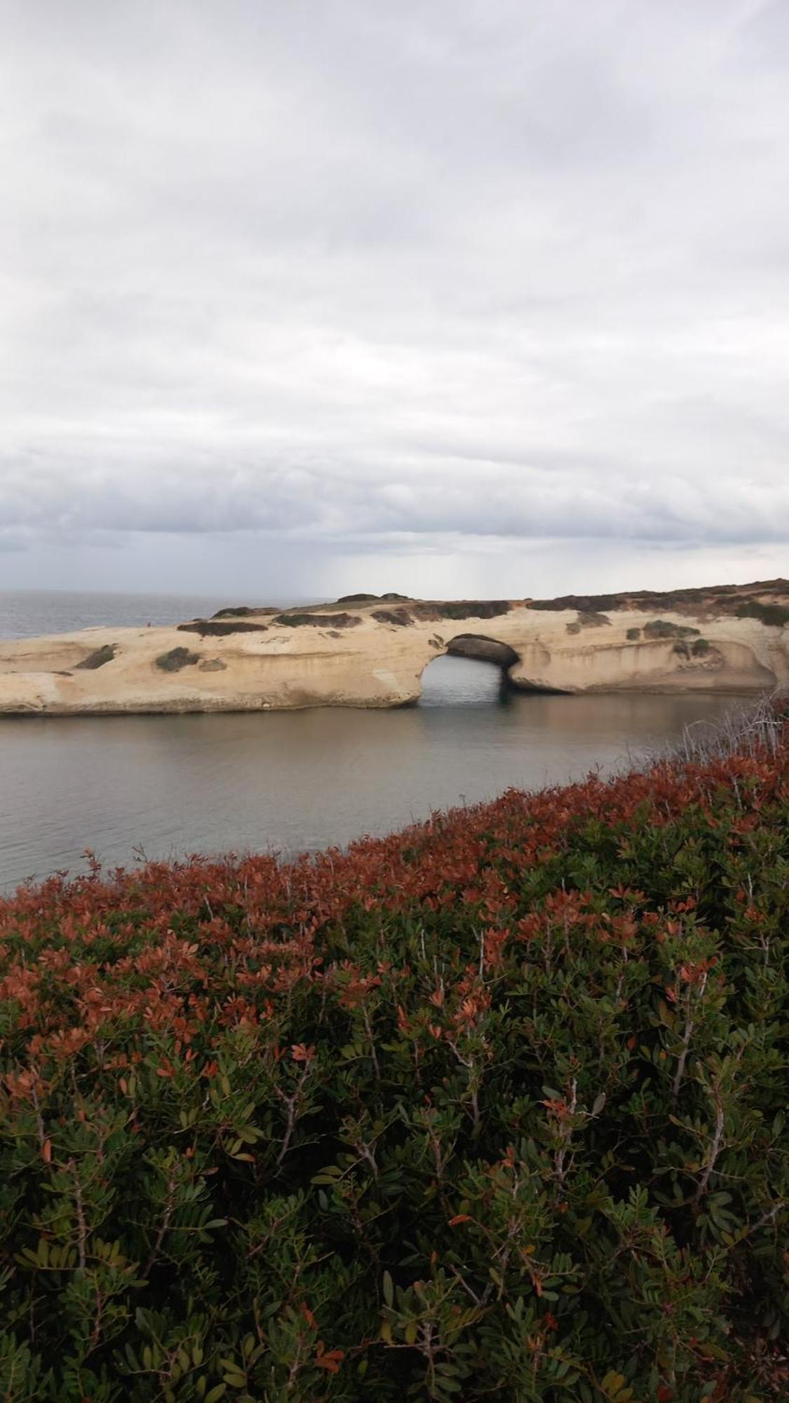 ריולה סארדו Agriturismo Il Melograno מראה חיצוני תמונה