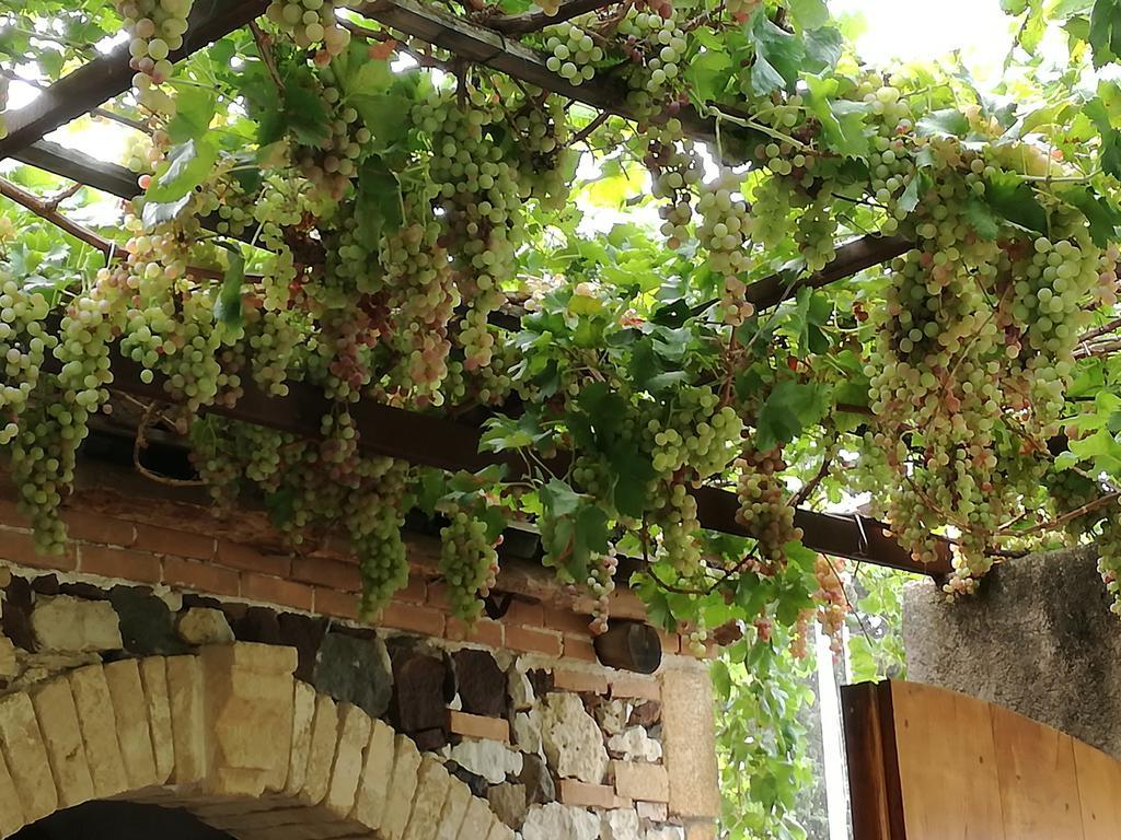 ריולה סארדו Agriturismo Il Melograno מראה חיצוני תמונה