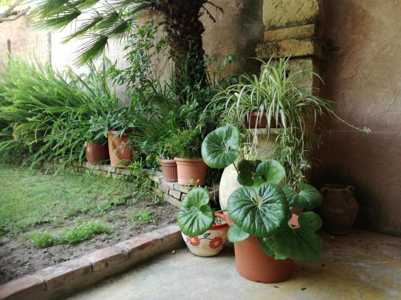 ריולה סארדו Agriturismo Il Melograno מראה חיצוני תמונה